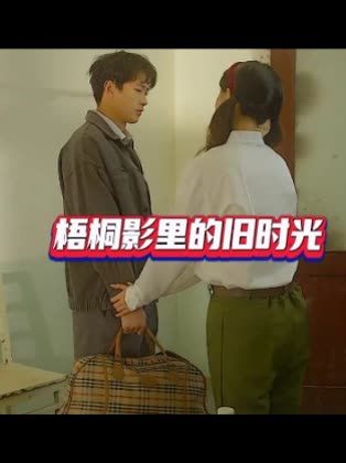 梧桐影里的旧时光（40集）