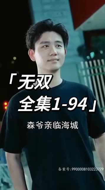 无双 94集